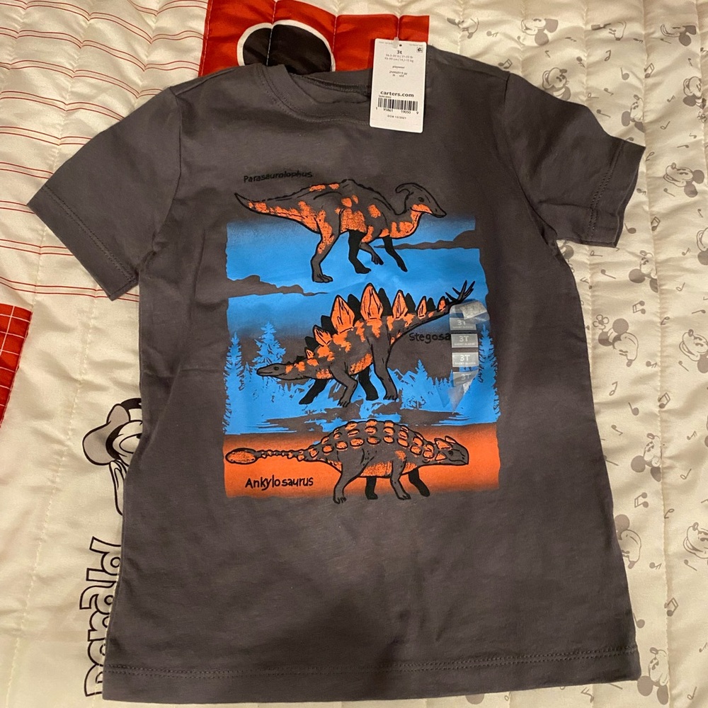 Dinosaur shirt